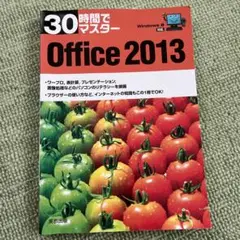 30時間でマスターOffice 2013
