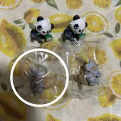 ポケモン　りらくっしょん　カラカラ