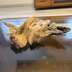 Item thumbnail for item 89327a63-be42-4486-a15c-587ab6ed7709