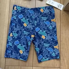 キッズ用恐竜柄水着（青・緑）