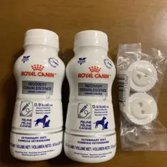 Item thumbnail for item f4376e12-edc7-47b0-ac2c-08d82f8cf5ef