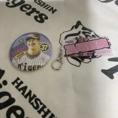 Item thumbnail for item c66da9c2-d17c-45b2-889a-6591e94626e0