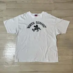 チャンピオンTシャツ　ビッグサイズ