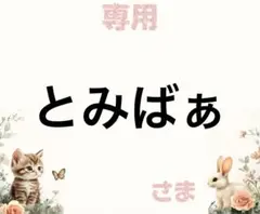 専用