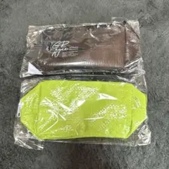 【即購入⭕️】GReeeeN gre4nboyz 電光石火発売記念モデル　ポーチ