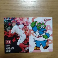 プロ野球チップス2025第2弾　スターカード　広島東洋カープ　矢野雅哉