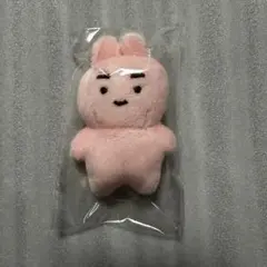 2025年最新】チョコミョニの人気アイテム - メルカリ