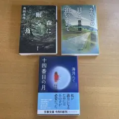 角田光代⭐︎恩田陸⭐︎海月ルイ⭐︎ミステリー、小説３冊セット