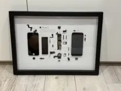 iPhone4 標本アート ホワイト プレミアム端末】iPhone 2G 標本アート 高級木製ボックス