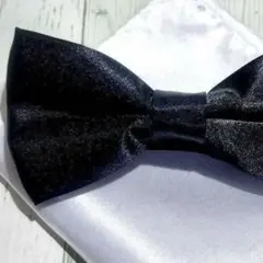 Item thumbnail for item 150f733b-cc56-420f-bdb1-2b269a64f5e8