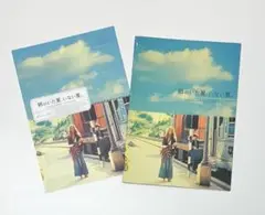 映画【姉のいた夏、いない夏。】パンフレット、フライヤー／キャメロン・ディアス