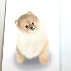 ポメラニアン❤️犬 原画　鉛筆画　絵画　手描き イラスト 2Lサイズ！！ ポメラニアン犬 | 鉛筆画アートプリント | アーティスト G Tymon