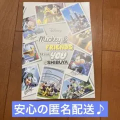 【安心の匿名配送♪】ミッキー　カタログ雑誌