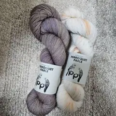 ねこばやしさま専用★PERROQUET PARLE　手染め毛糸　2かせセット