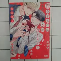 恋をするにはLv.が足りません!