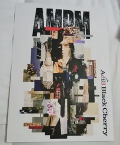 Acid Black Cherry AMPM ビジュアルシート