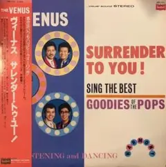 VENUS ヴィーナス SURRENDER TO YOU 伊藤銀次