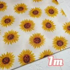 夏の人気❤ひまわり❤シーチング1m
