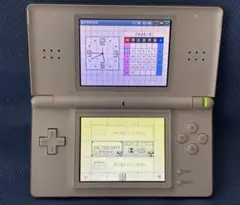 DSライト　ホワイト