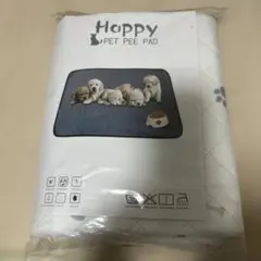 Item thumbnail for item c0434915-82be-454a-87c1-895ba73c9778