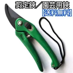 剪定鋏(グリーン)/園芸鋏/ハサミ/工具/盆栽/庭木/生け花/園芸/ガーデニング