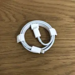 Apple ライトニングケーブル 純正　TYPE-C