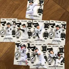 千葉ロッテマリーンズ　夏祭り　山本大斗　レアカード