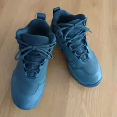 Item thumbnail for item cc2b3eb2-56eb-43ed-a882-68eedcf59294