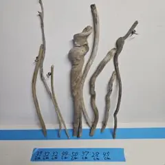 Item thumbnail for item 510765dc-a3b8-4df6-a204-2fc77047b344