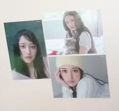 Item thumbnail for item d2d267a4-d02a-475a-a0cf-22d4c423b3e3