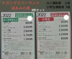 ナガシマスパーランド 湯あみの島 大人補助券3枚セット