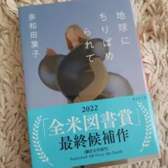 地球にちりばめられて