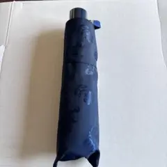 m46980888262_1.jpg?1740643641