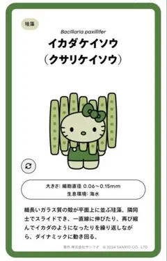 EXPO2025　日本館限定　サンリオ 藻キティ　シークレットピンバッチ
