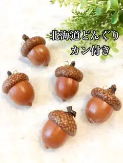 北海道どんぐりチャーム 5個