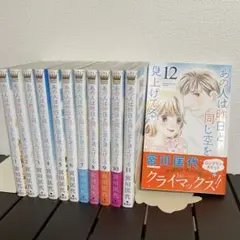 宮川匡代　あの人は昨日と同じ空を見上げてる 全巻　完結　全12巻セット