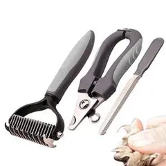 Item thumbnail for item 12ec0c3e-f324-4ee4-a72e-a564cb7f1535
