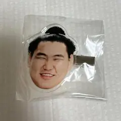 大相撲　ガチャガチャ　(横綱　豊昇龍)