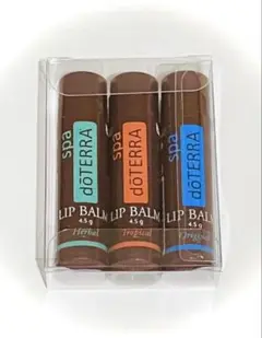 Item thumbnail for item 79b1c66a-d5c0-43e9-b497-ae1f691b869f