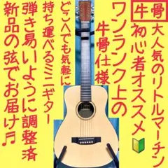 【良品！】 マーチンMartinリトルマーチンLXM 未開封ダダリオ新品弦付 Martin マーチン LX-1RE Little Martin リトル・マーチン ミニ
