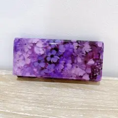 FRUTTI DI BOSCO長財布アルバアリスマジックアワー