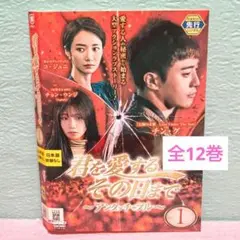 「君を愛するその日まで〜アンタッチャブル〜」DVD全12巻完結セット 韓国ドラマ