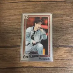 StrayKids リノ ランダムライブフォトカード エコパ 赤枠