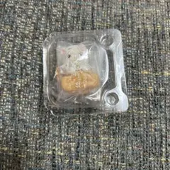 シルバニアくじ