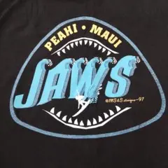 ハワイ マウイ JAWS Tシャツ Mサイズ 4