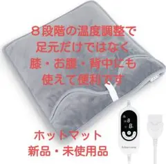 ホットマット ヒーターマット 足温器 フットウォーマー 電気座布団 ミニ