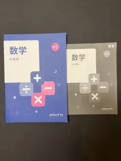 スタサプ 中1 数学 共通版 2021.3