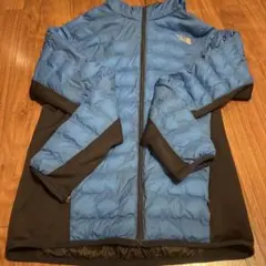 THE NORTH FACE ノースフェイス ライトダウン BLUE メンズ