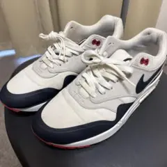Air Max 1 V SP AIRMAXDAY 限定モデル エアマックス