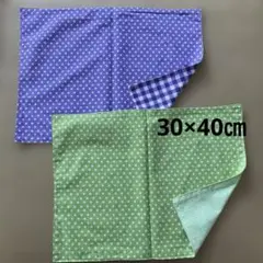 Item thumbnail for item 2b657649-6072-4ace-903e-78b8e1875527